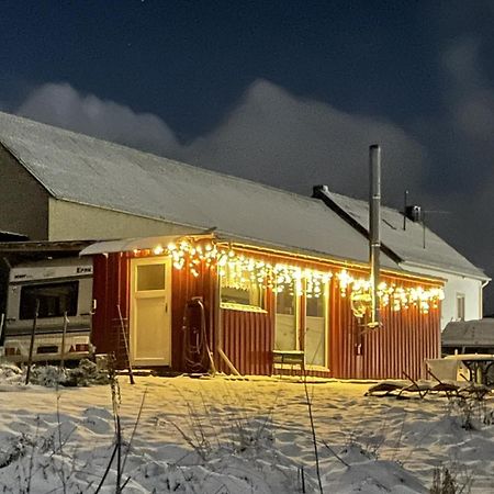 Tiny House Anneliese Hunde Okay Villa Oberbettingen Exterior photo